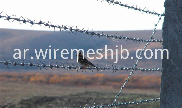 Galvanized Barbed Wire Fence